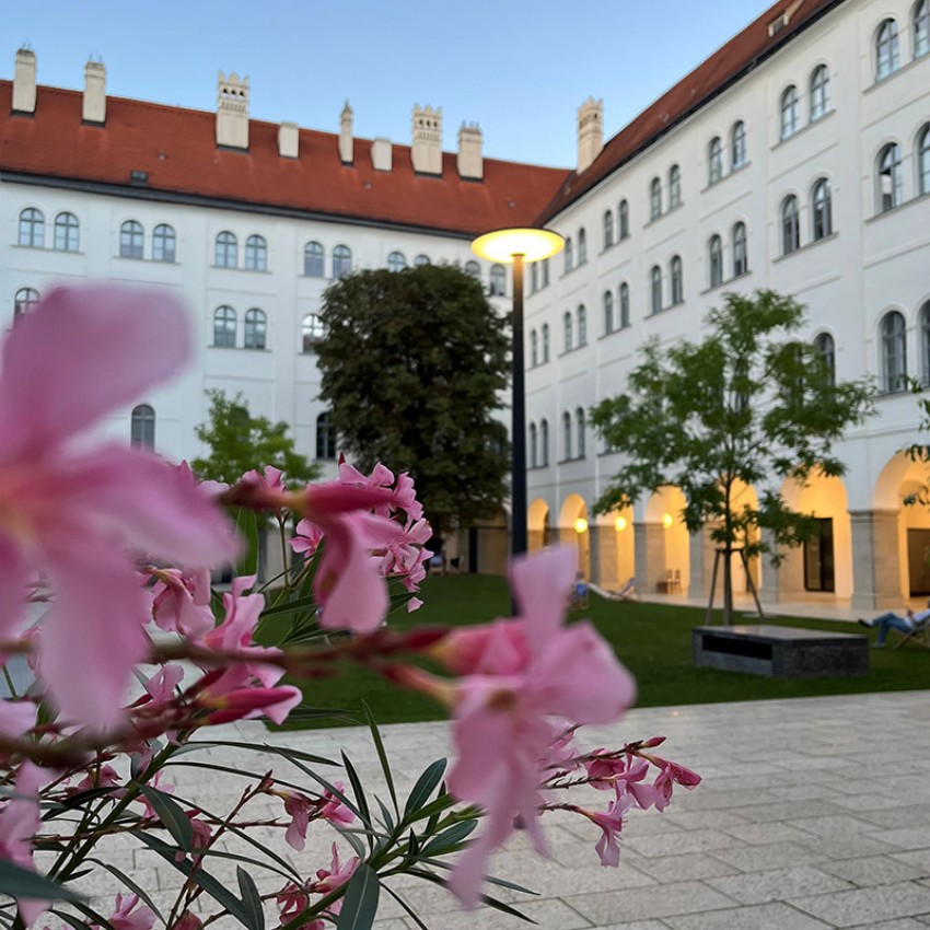 Wiener Altstadt Oasen Wiener Altstadt Oasen